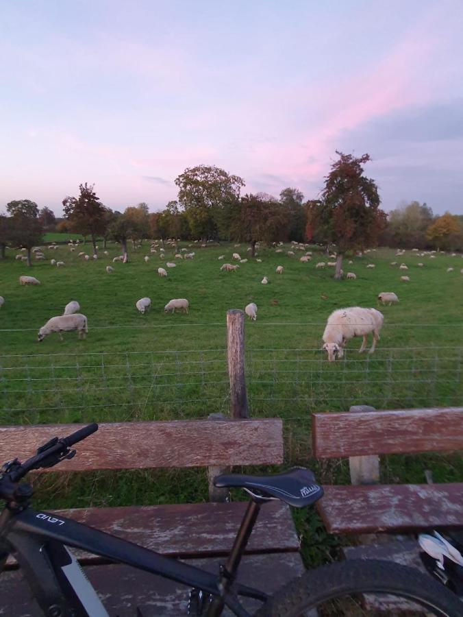 Ferienwohnung Niederrhein Wesel  Esterno foto