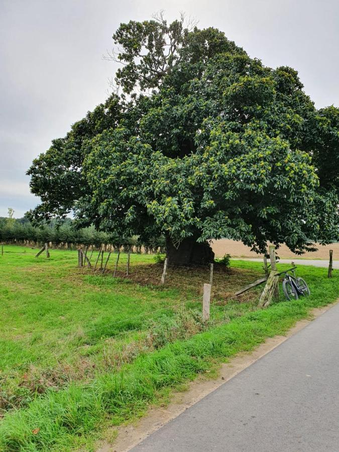 Ferienwohnung Niederrhein Wesel  Esterno foto